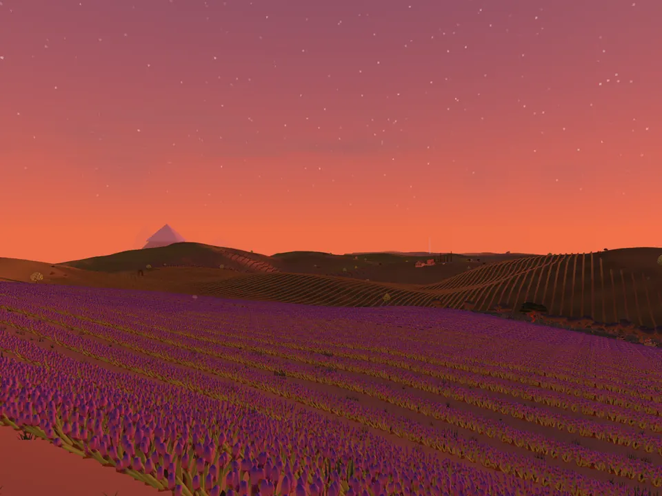 Rows of lavender under a red evening sky